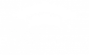 logo brainit academy biele transparentne